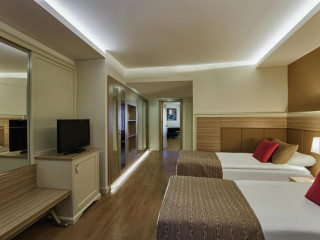 THEARTEMIS PALACE