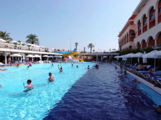 Delphin Diva