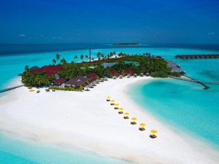Dhigufaru Island Resort(Baa Atoll)