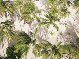 DIAMONDS DREAM OF AFRICA