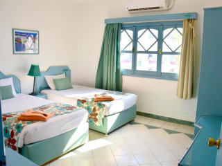 DIVE INN