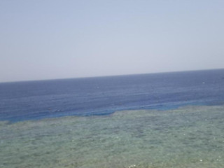 Domina Coral Bay Harem