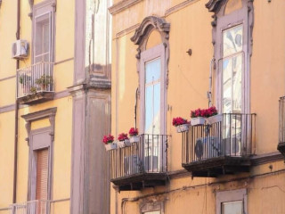 DON CARLO ROOMS