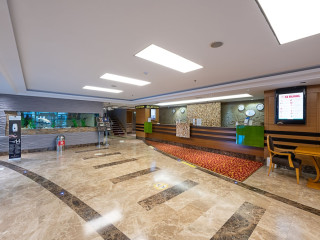 DREAM HILL BUSINESS DELUXE HOTEL ASIA