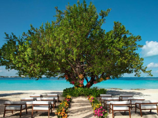 Dreams Sands Cancun Resort & Spa