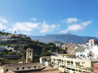 Dwo Nopal by Checkin