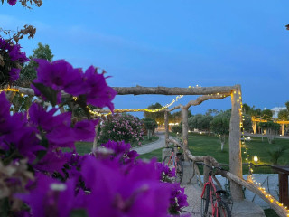 Eco Beach & Magic Garden Hotel