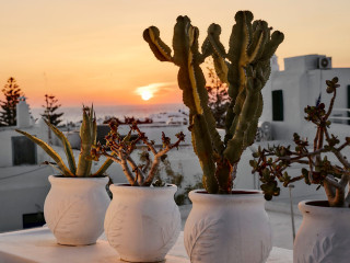 Elaia Luxury Suites Mykonos