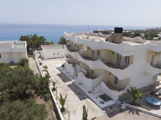 Elena s Beach Garden