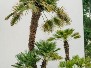 Hotel Elite Bay Lalez Durres