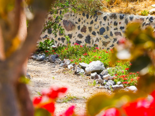 Elyvia Caves Santorini