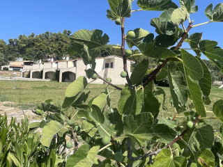 Evlogia Village by Greek Pride