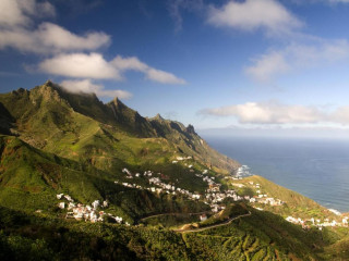 Fergus Puerto de la Cruz