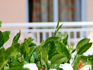 DIAGORAS HOTEL