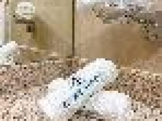 Frank Porter - Goldcrest Executive