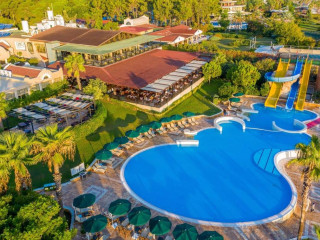 Gypsophila Club Marine