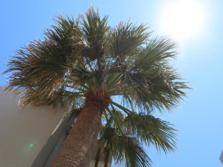 Galazio Suites & Apartments