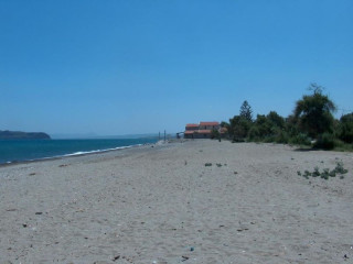GERONA MARE