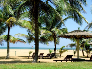Goldi Sands