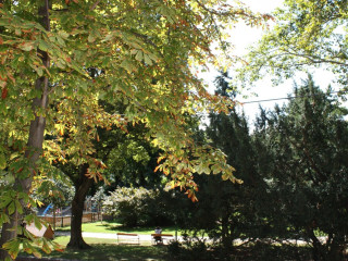 GoVienna - Charming Studio