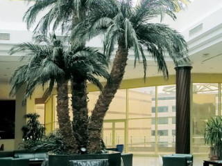 THE MELODY PHUKET