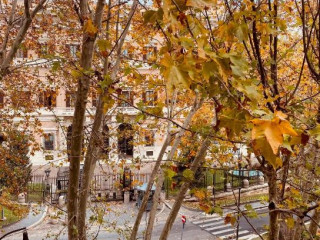 Grand Hotel Palace