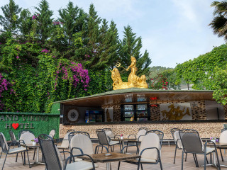 Shark Club Hotel