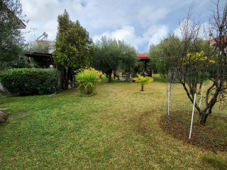 GREEK PRIDE SAN GIORGIO APARTMENTS