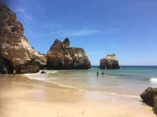 Green Elephant Place