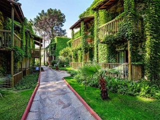 RIAD AJARIF BY RIAD TAWARGIT