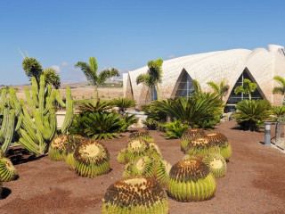 H10 Playa Meloneras Horizons Collection