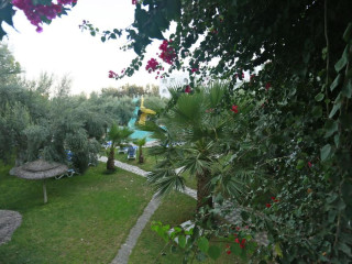 Hammamet Garden