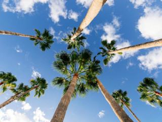 Hd Parque Cristóbal Tenerife