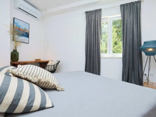 Hedera A41