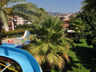 Hibiscus Apart & Garden