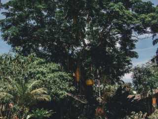 Hibiscus Garden Resort