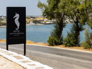 Hippocampus Hotel