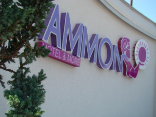Hotel Ammon