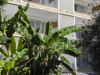 Hotel Araxa - Adults Only