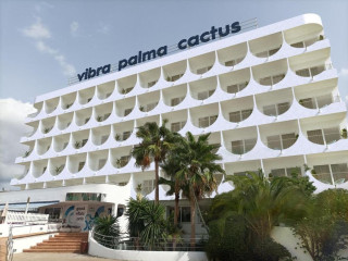 Vibra Palma Cactus