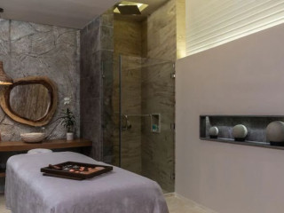 Hyatt Ziva