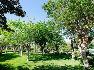 Hotel Club Cala Romani