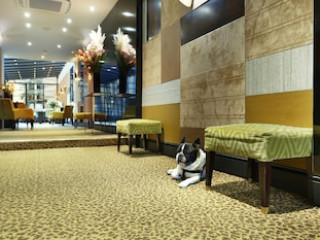 HOTEL CONCORTEL PARIS