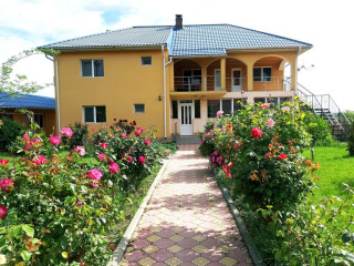 Casa cu Trandafiri ( Murighiol)