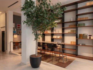 Hotel Curious By Alegria