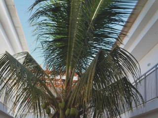 Hotel Da Luz