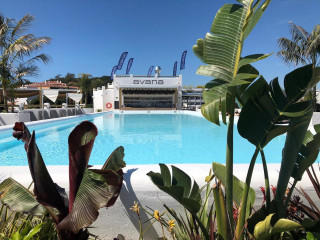 Hotel Delamar - Adults Only (+18)