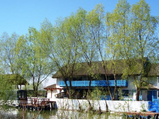 Casa dintre Salcii