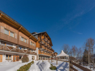 Hotel Ferienalm Schladming