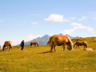 Hotel Lärchenhof Natur